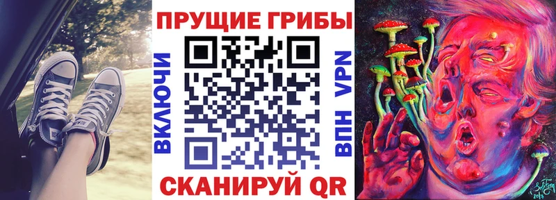 закладка ссылка на мегу Галлюциногенные грибы мицелий Мосальск